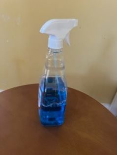 killing germs with windex